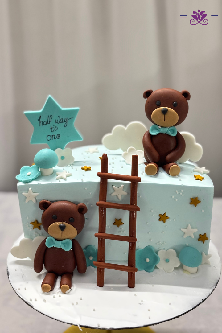 Adorable half-birthday celebration cake
