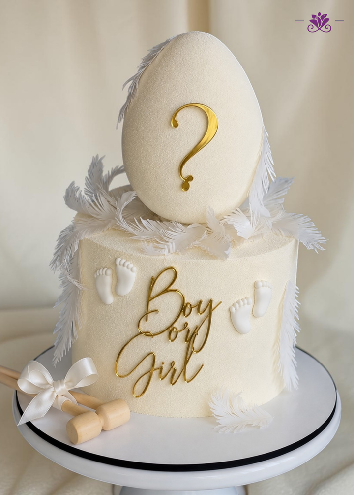 Boy or Girl Gender Reveal Egg Designer Cake