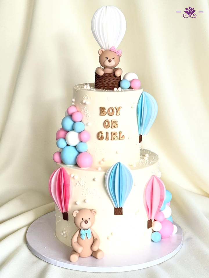 Boy or Girl Gender Reveal Hot Air Balloon Cake