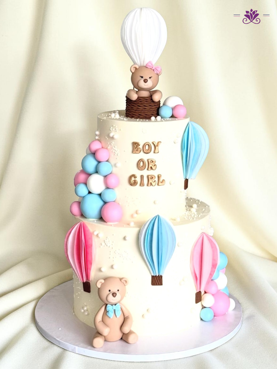 Boy or Girl Gender Reveal Hot Air Balloon Cake
