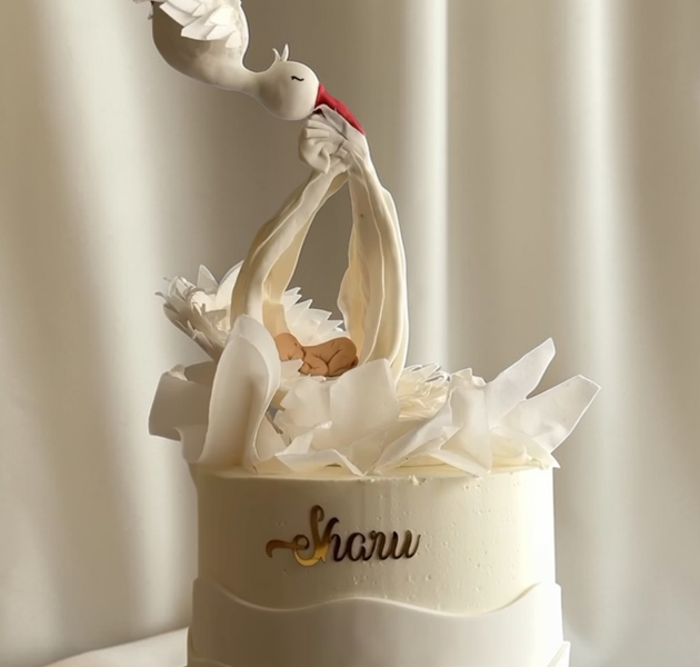Luxury Stork Baby Arrival Cake with Elegant Minimal Design