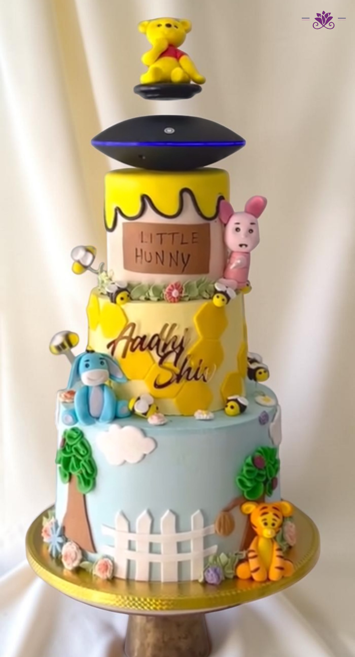 Winnie the Pooh Anti Gravity Theme Cake with Honey Drip Design