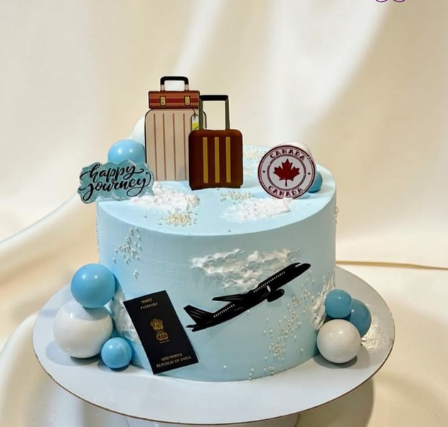 Travel Lover Theme Cake